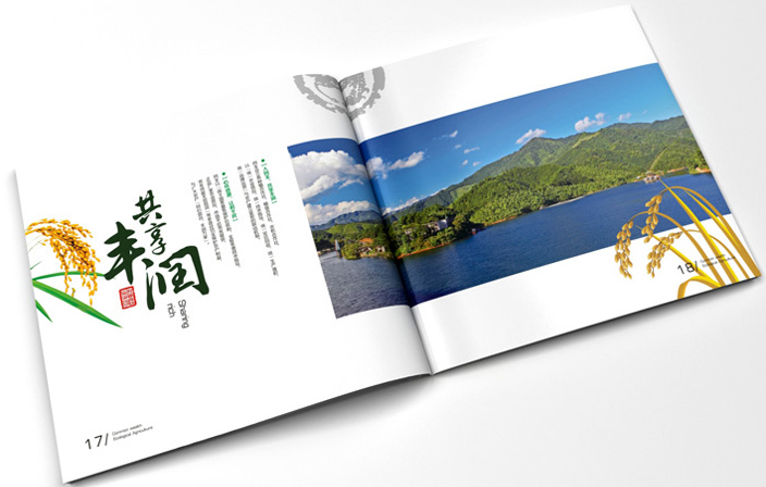 企业产(chǎn)品宣传册设计应注意的事项