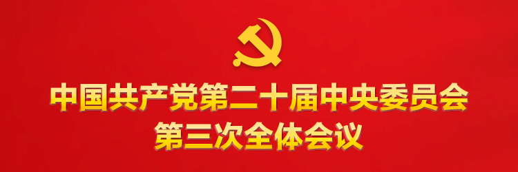 党的二十届三中(zhōng)全会